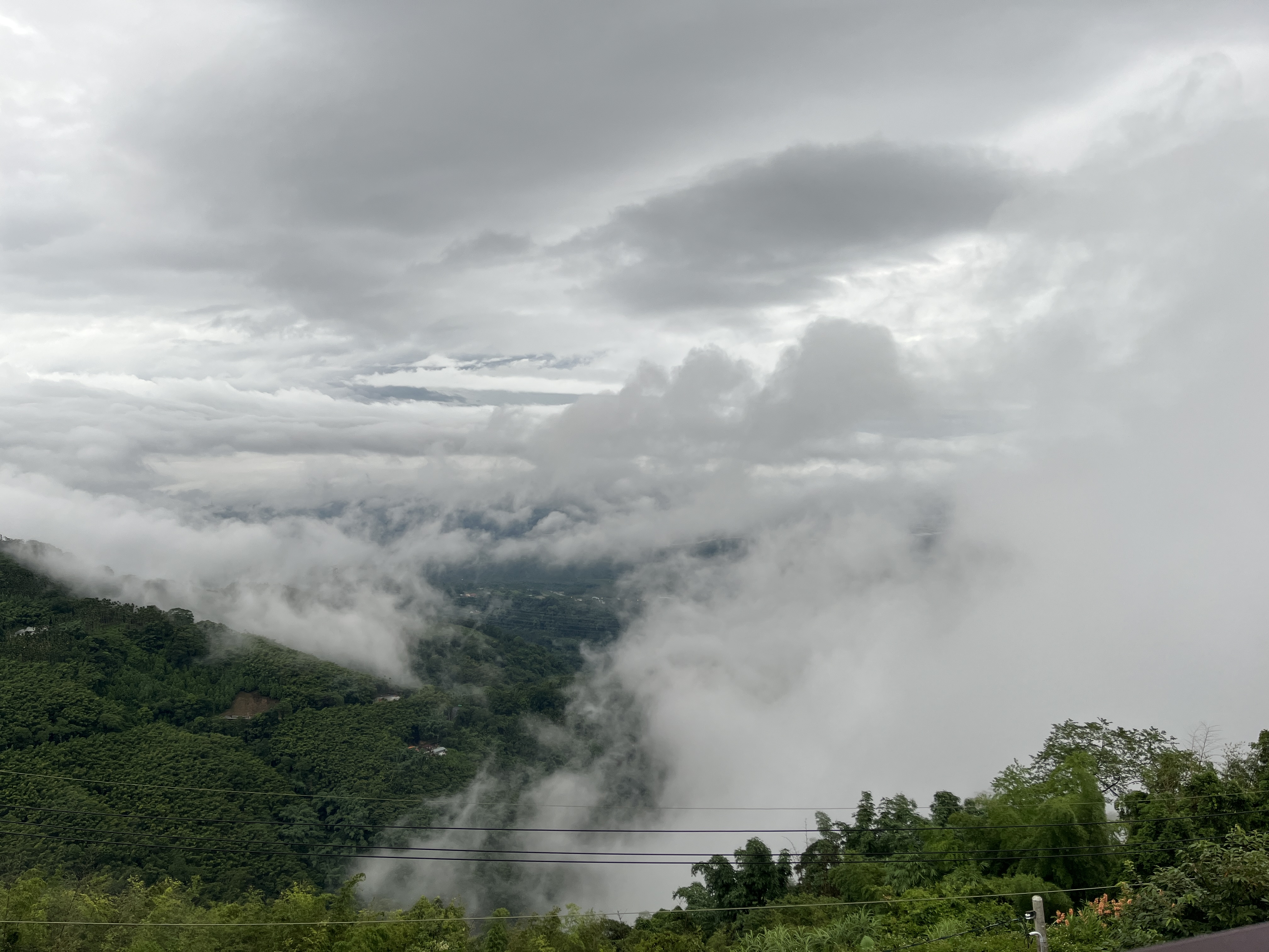 望際回家景觀